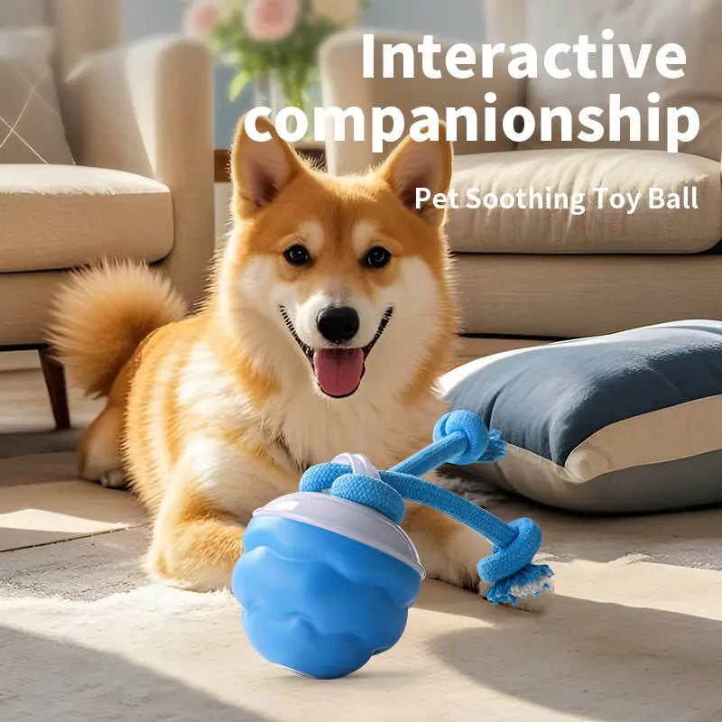 Blue Rechargeable Smart Interactive Plastic Dog Ball Chaser Toy - 2H Charging, Rapid Rolling, Self-Moving, Touch Activation, USB Cable Included, All Seasons, Reduces Barking, Boosts Self-Entertainment & Physical and Mental Exercises