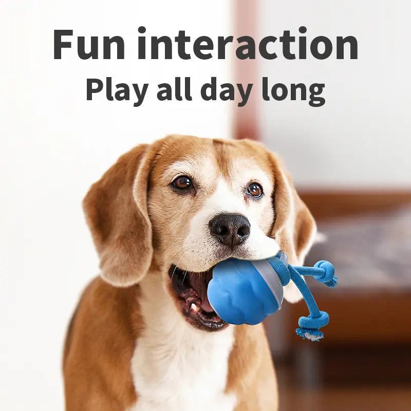 Blue Rechargeable Smart Interactive Plastic Dog Ball Chaser Toy - 2H Charging, Rapid Rolling, Self-Moving, Touch Activation, USB Cable Included, All Seasons, Reduces Barking, Boosts Self-Entertainment & Physical and Mental Exercises