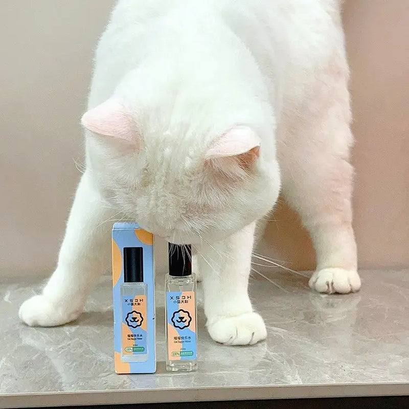 Catnip Spray, Cat Happy Water, Cat Attractant, Cat Teaser Toy, Gall Extract Liquid