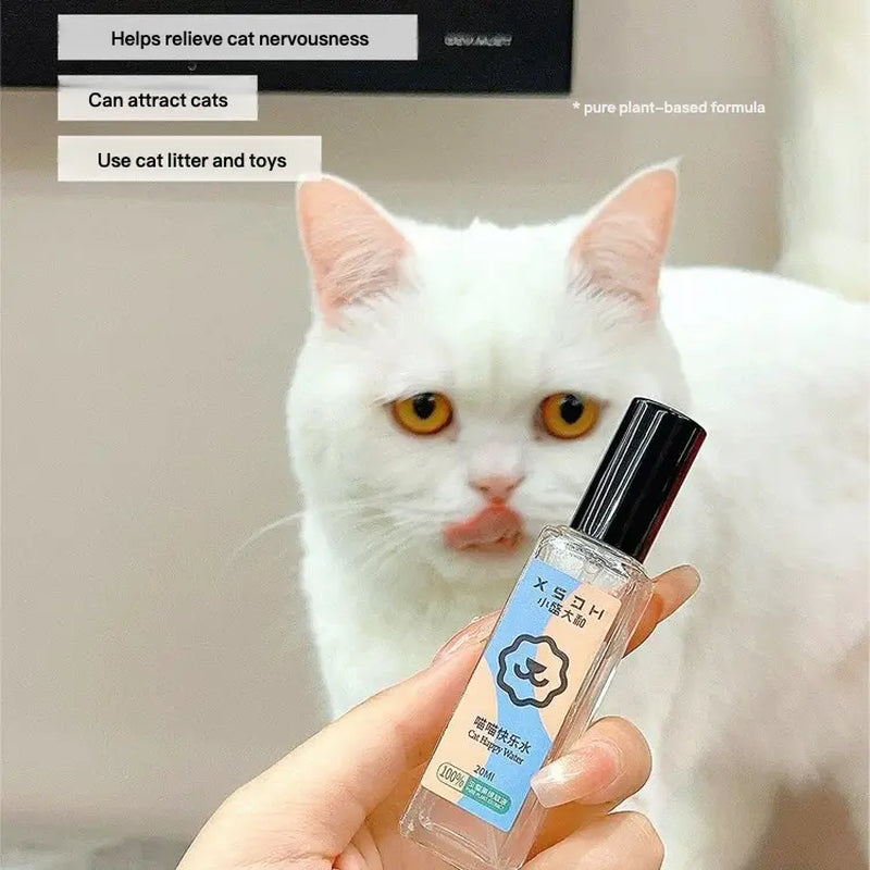 Catnip Spray, Cat Happy Water, Cat Attractant, Cat Teaser Toy, Gall Extract Liquid
